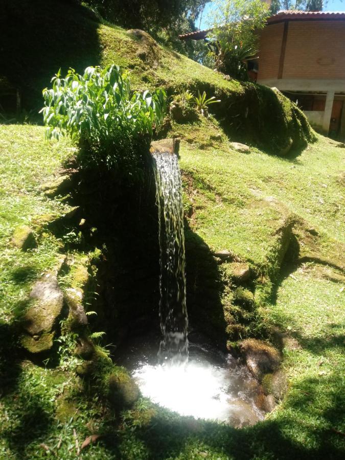 Chale Truta Da Floresta 2 Visconde de Mauá Extérieur photo